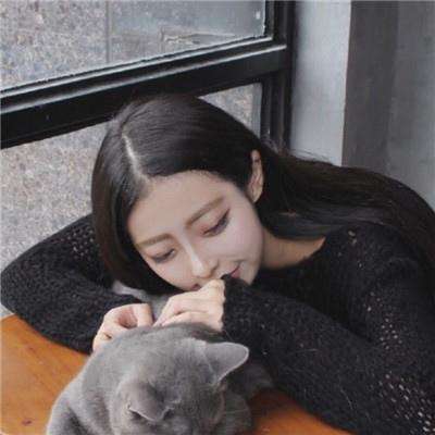 圣光荣耀手游官方