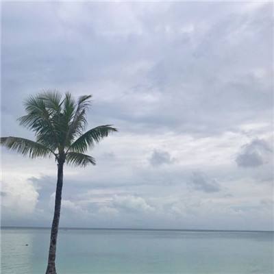 微变合击手游下载